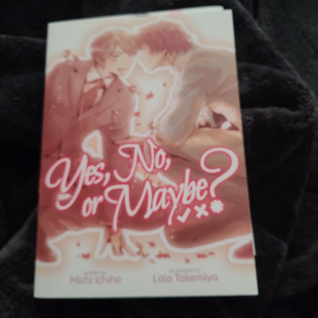 Yes, No, or Maybe? (Light Novel)