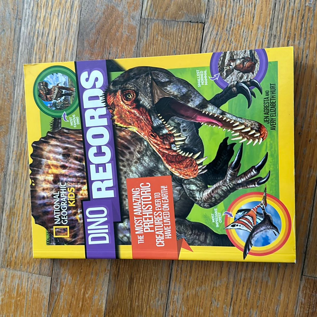 Dino Records