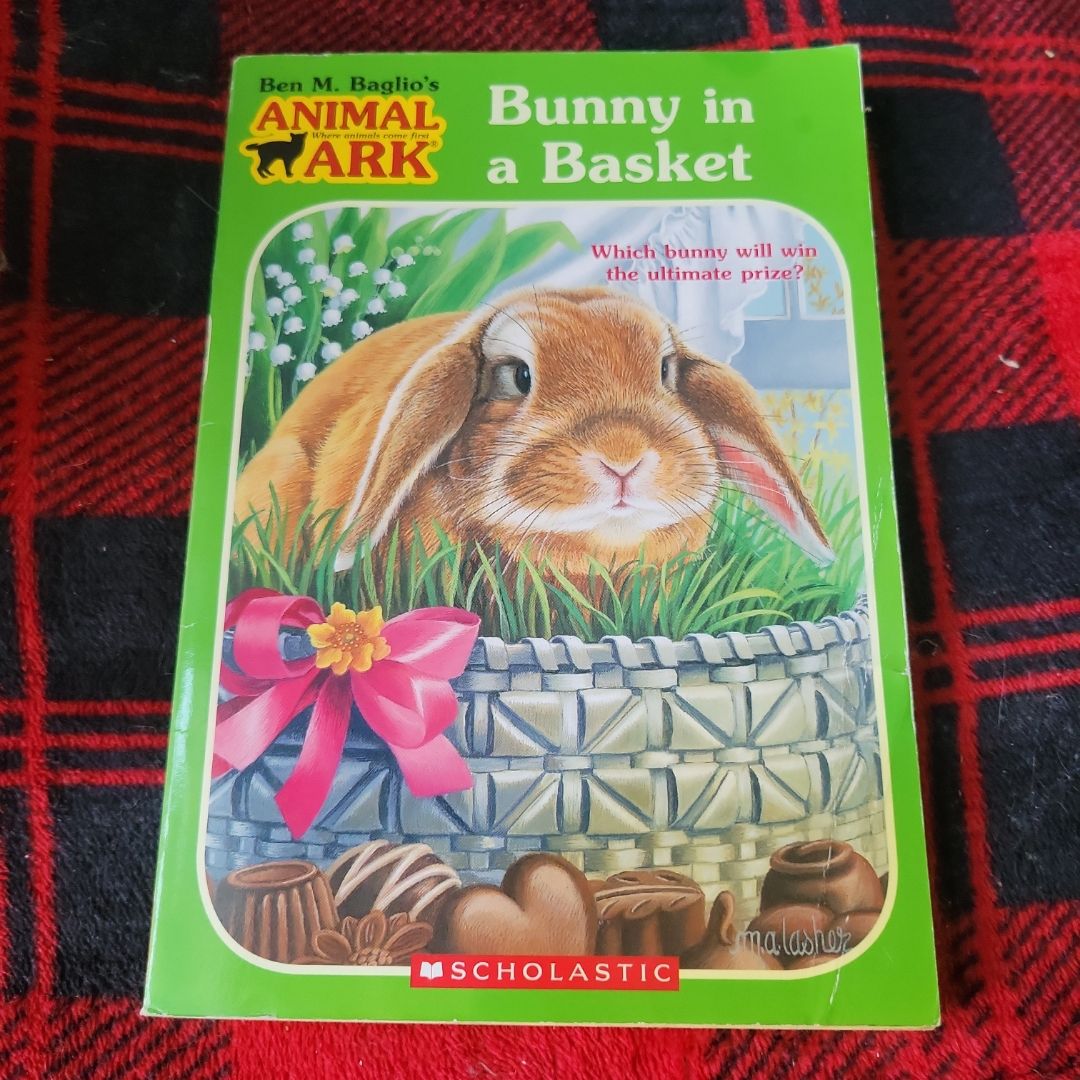 Bunny in a Basket
