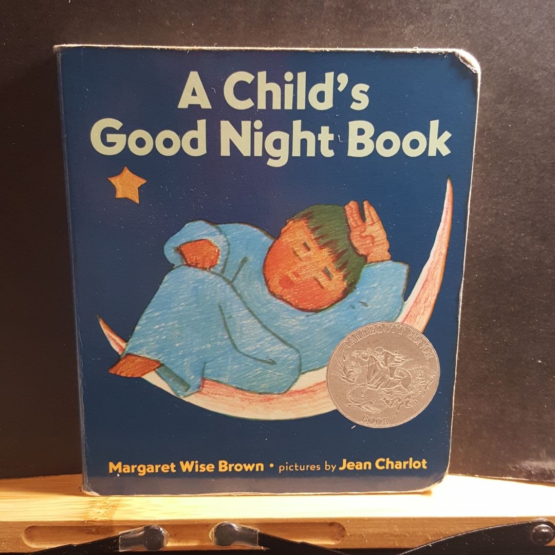 A Child's Good Night Book