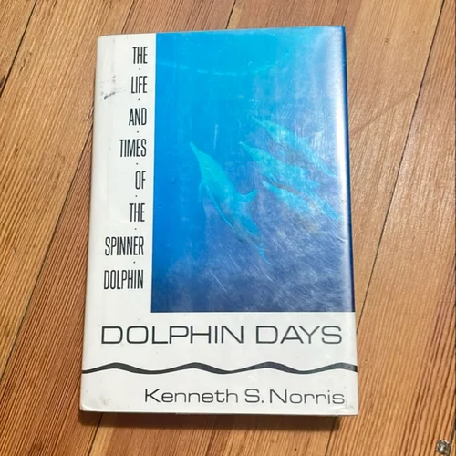 Dolphin Days