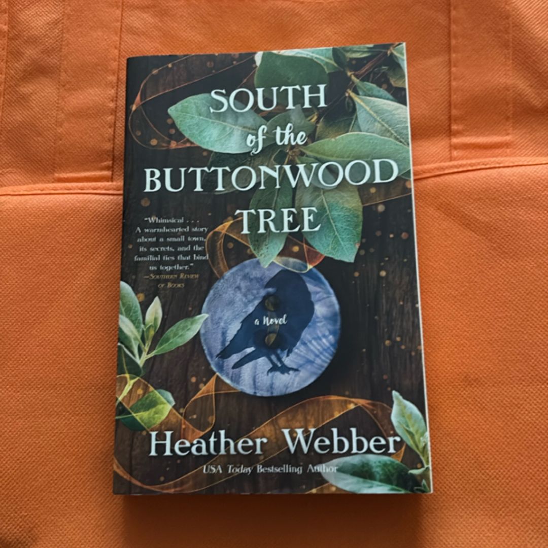South of the Buttonwood Tree