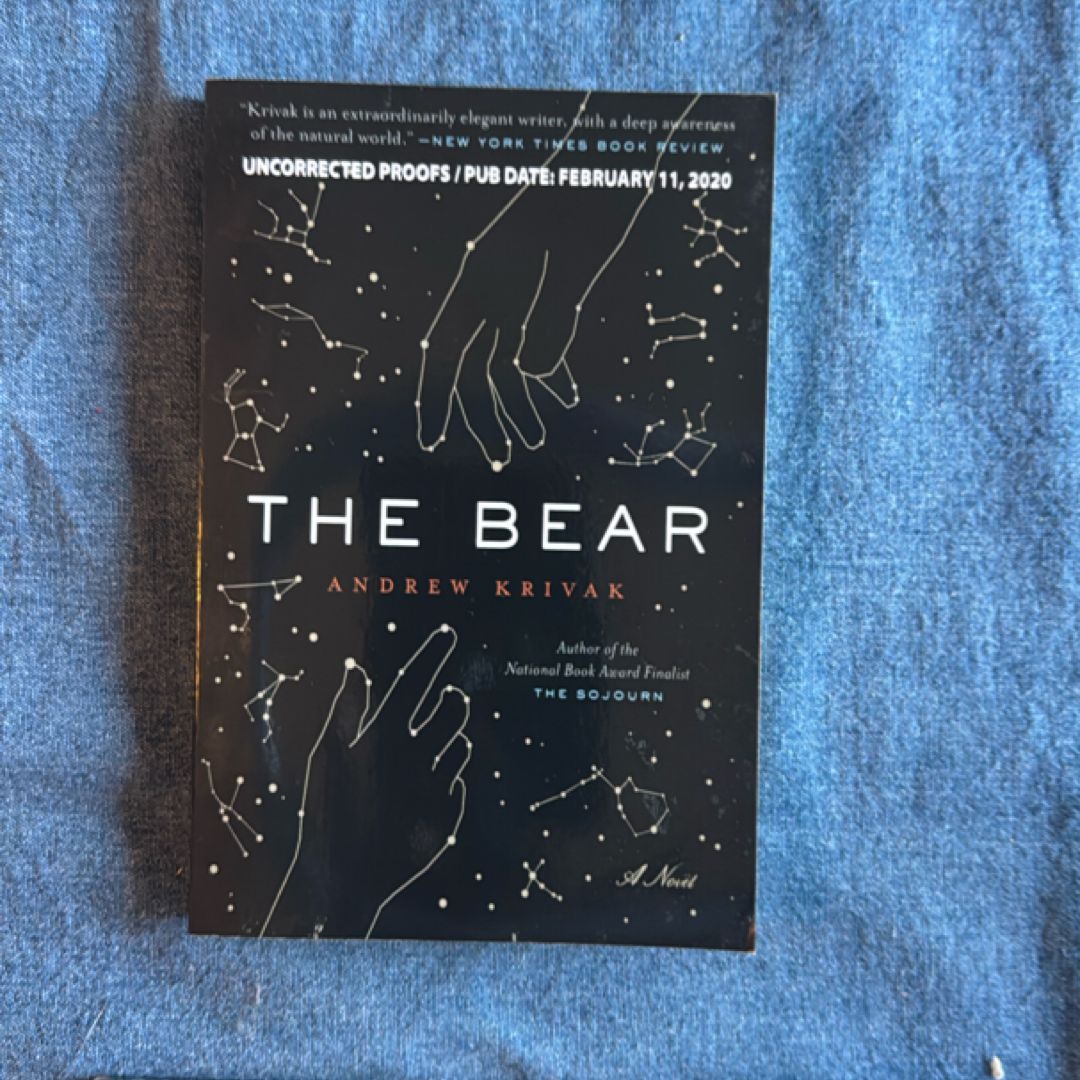 The Bear