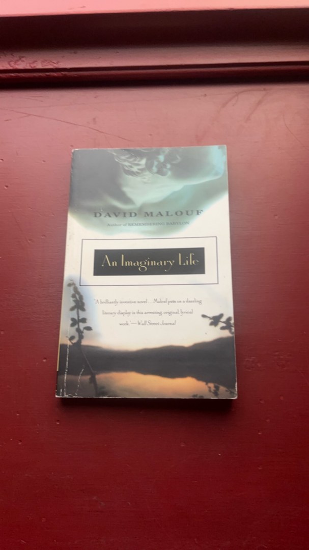 An Imaginary Life
