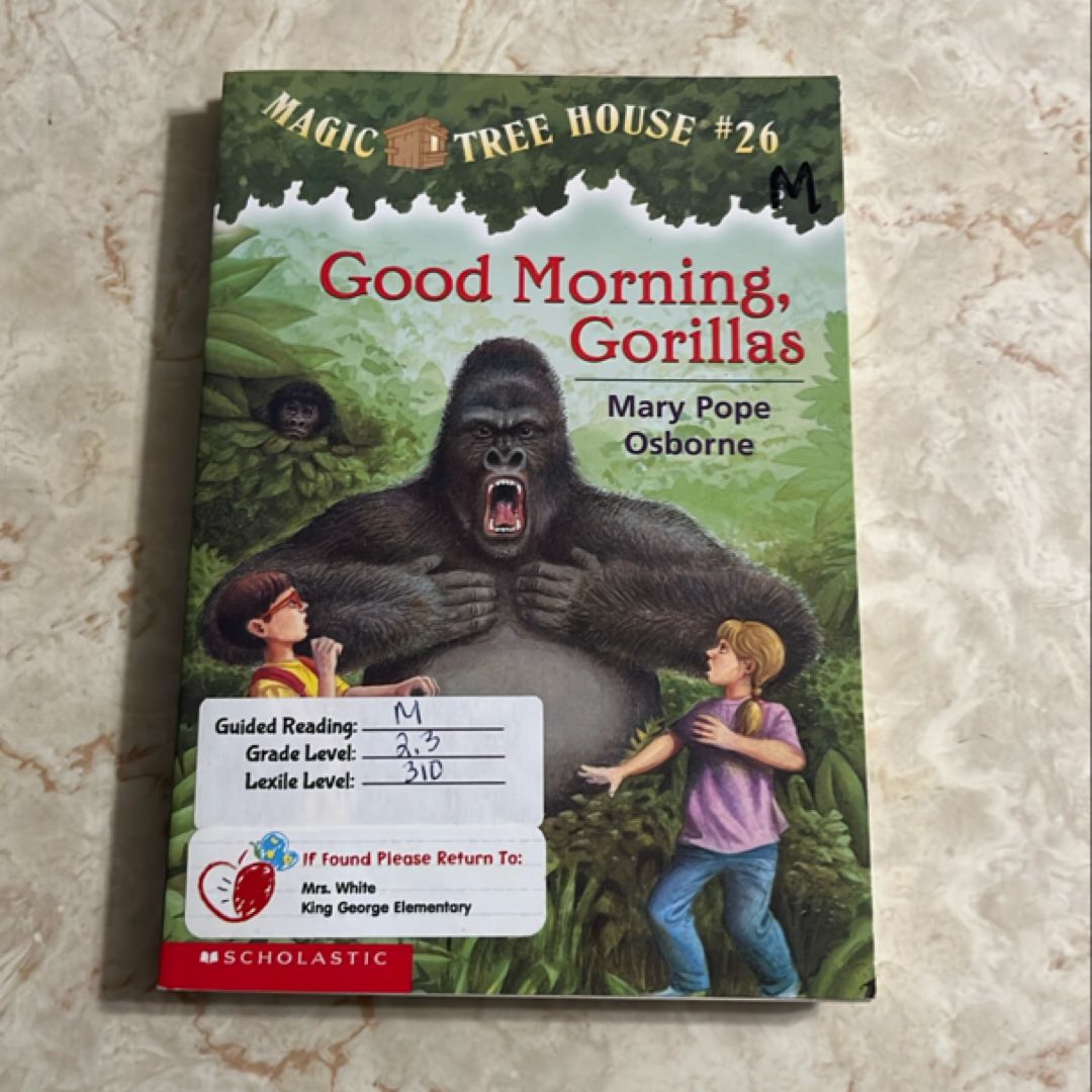 Good Morning, Gorillas