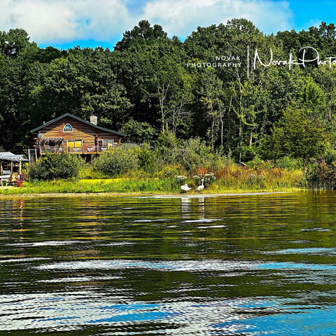 Log cabin on the Lake Bookshop