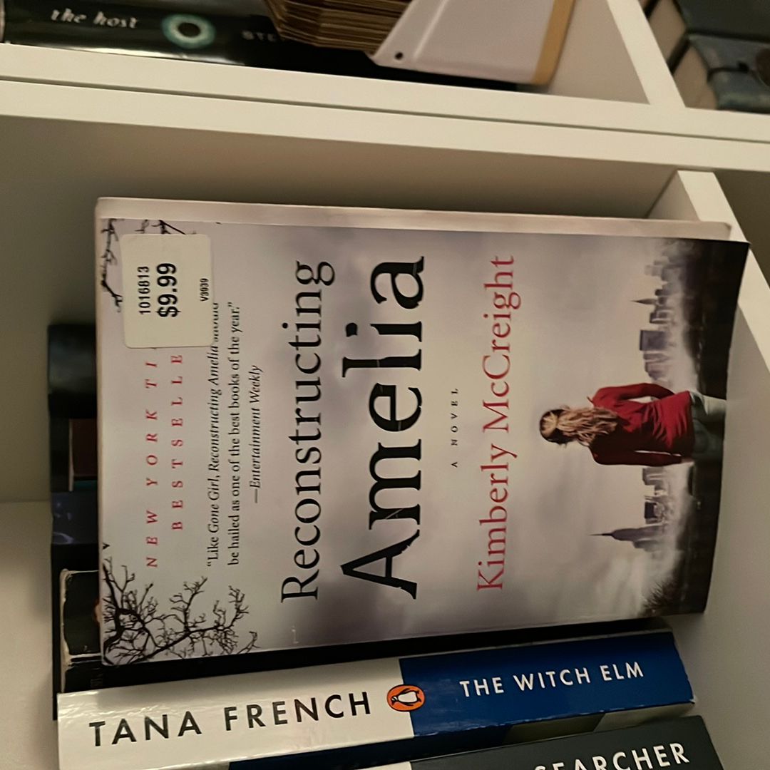 Reconstructing Amelia
