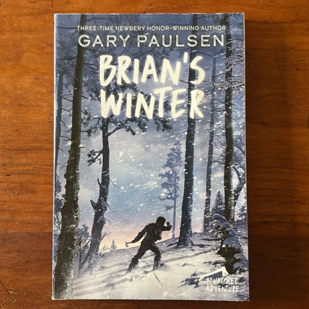 Brian's Winter