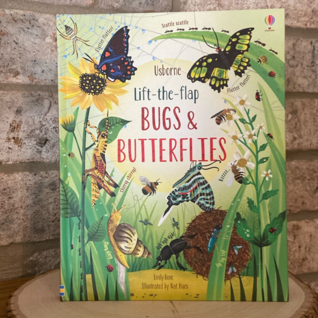 Lift-The-Flap Bugs and Butterflies IR
