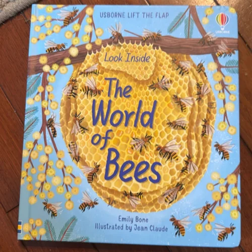 Look Inside the World of Bees