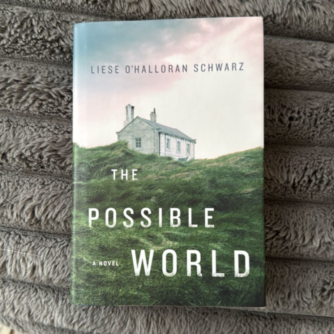 The Possible World