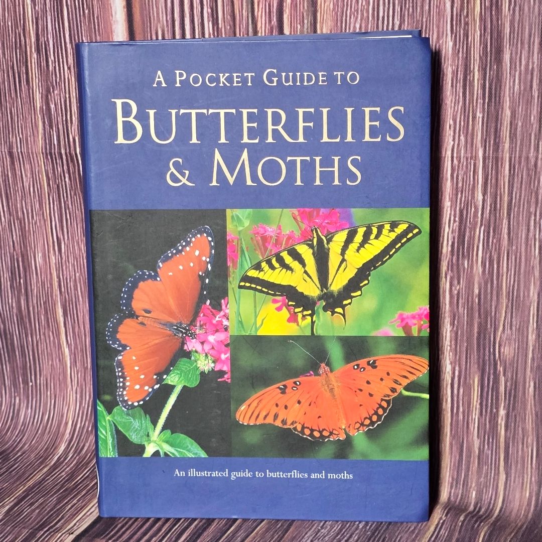 A Pocket Guide to Butterflies and Moths