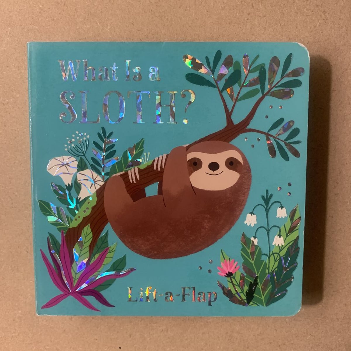What Is a Sloth? by Ginger Swift
