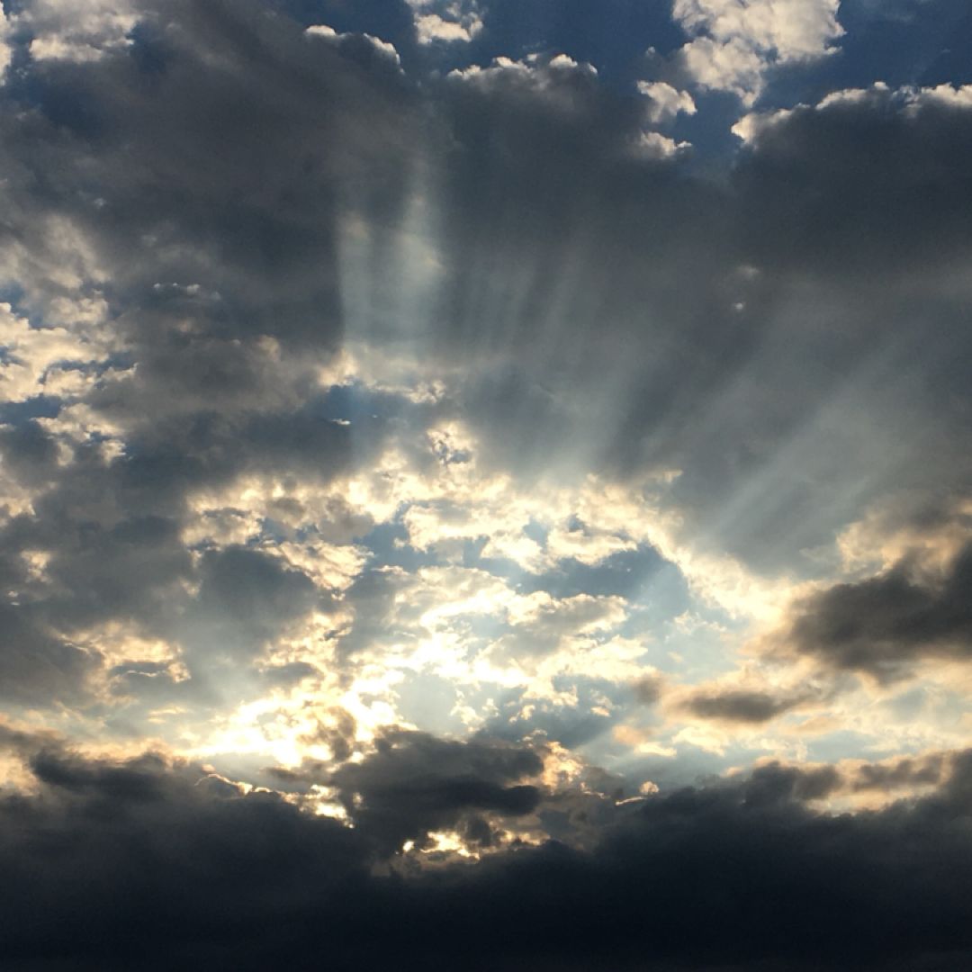 Edith's Emporium of Literary Curiosities