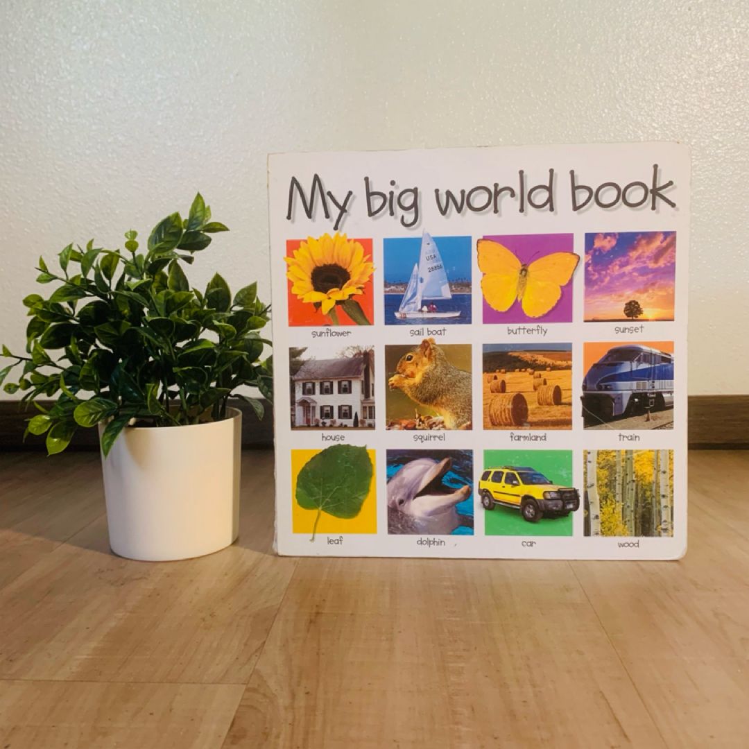 My Big Word Book by Roger Priddy