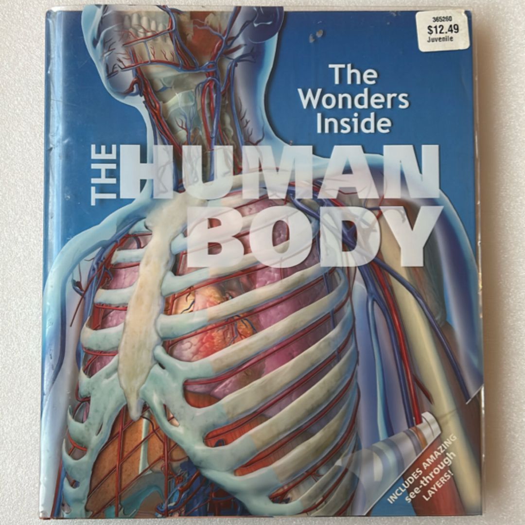 The Human Body by Jan Stradling