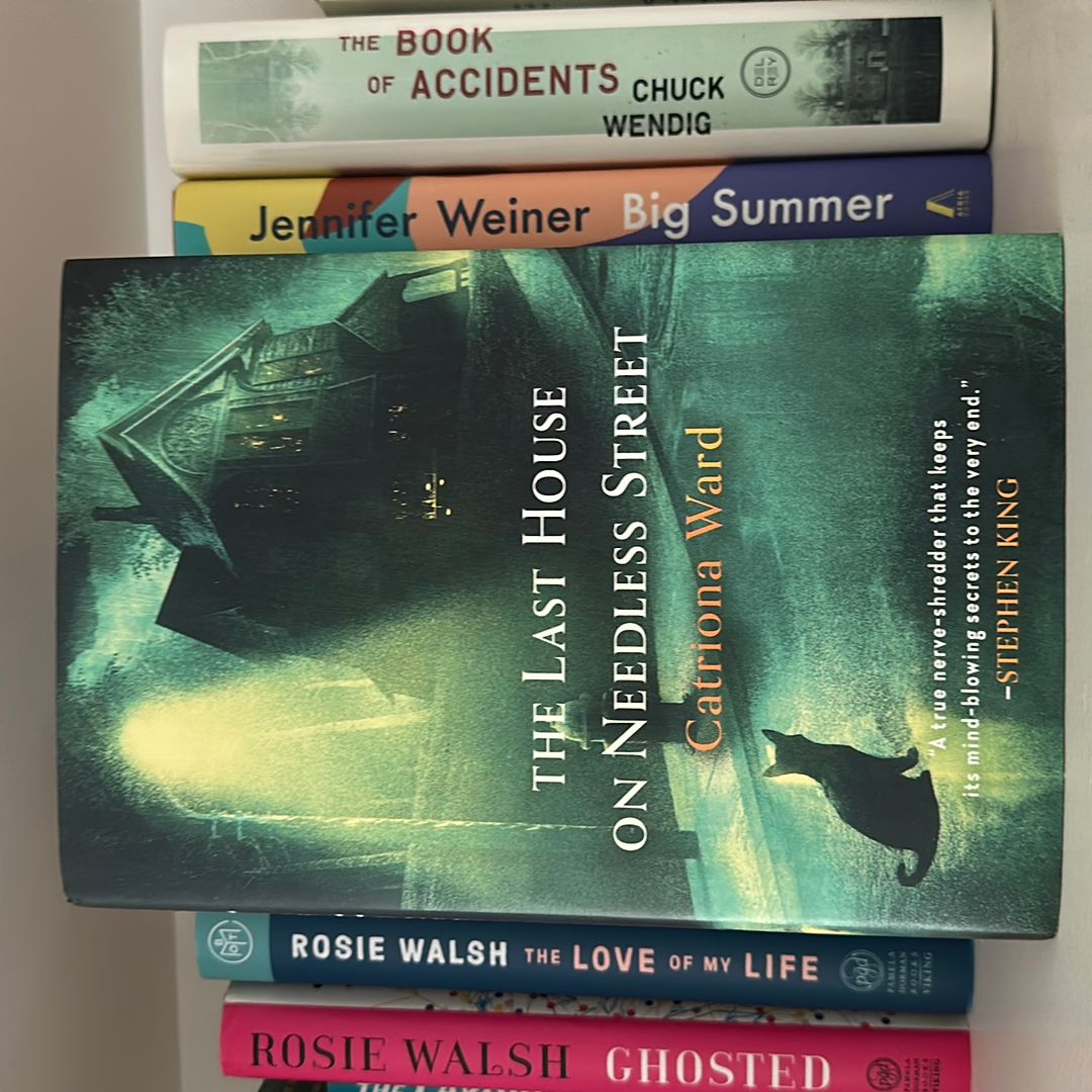 The Last House on Needless Street