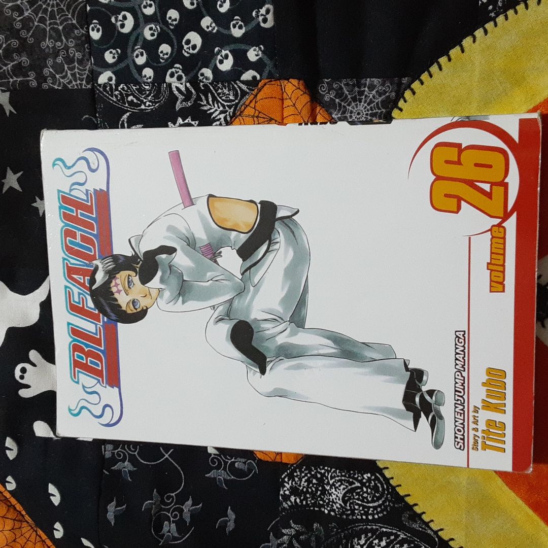 Bleach, Vol. 26
