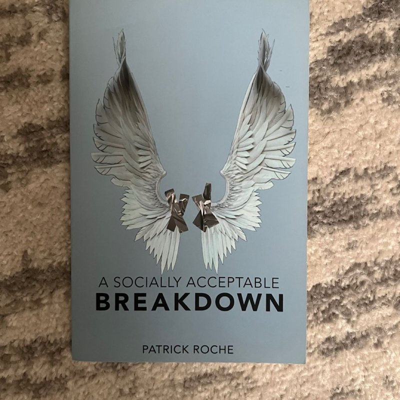 A Socially Acceptable Breakdown by Patrick Roche, Paperback | Pangobooks