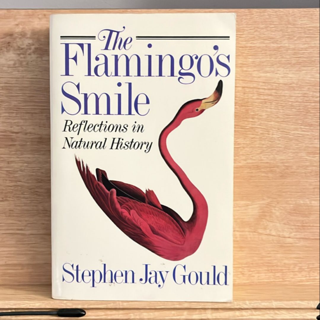 The Flamingo's Smile