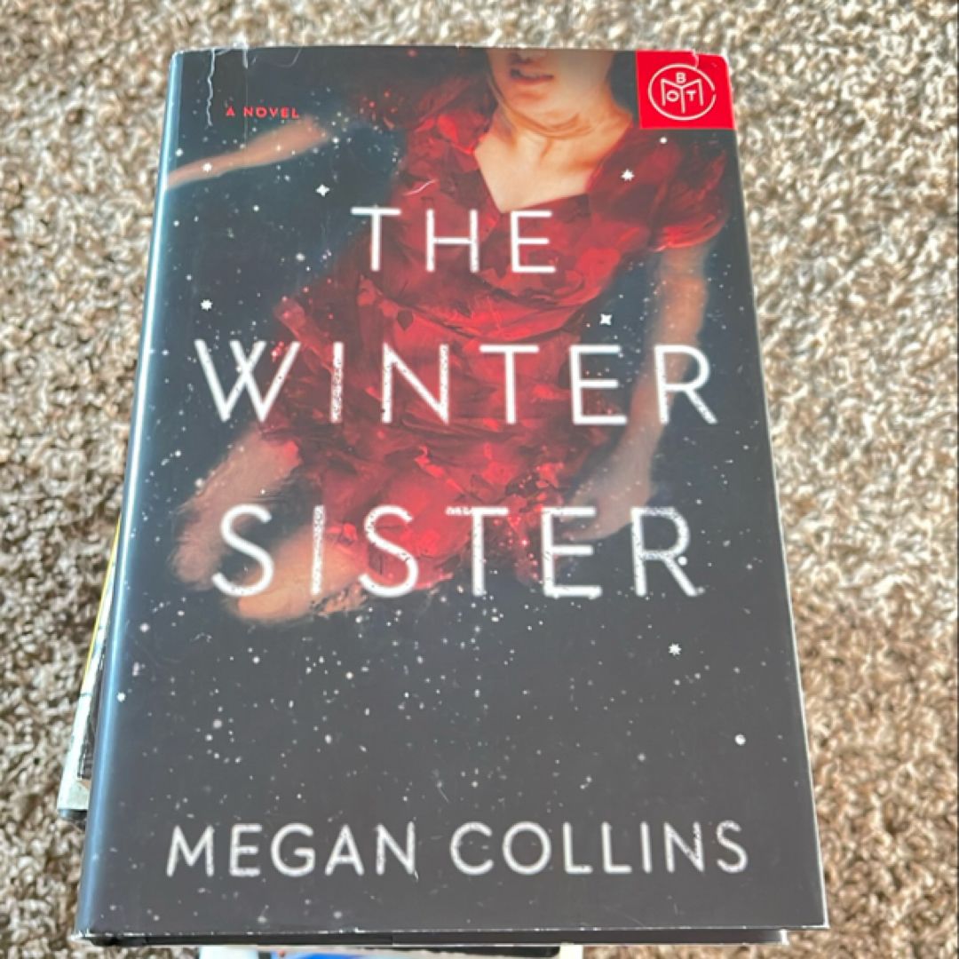 The Winter Sister
