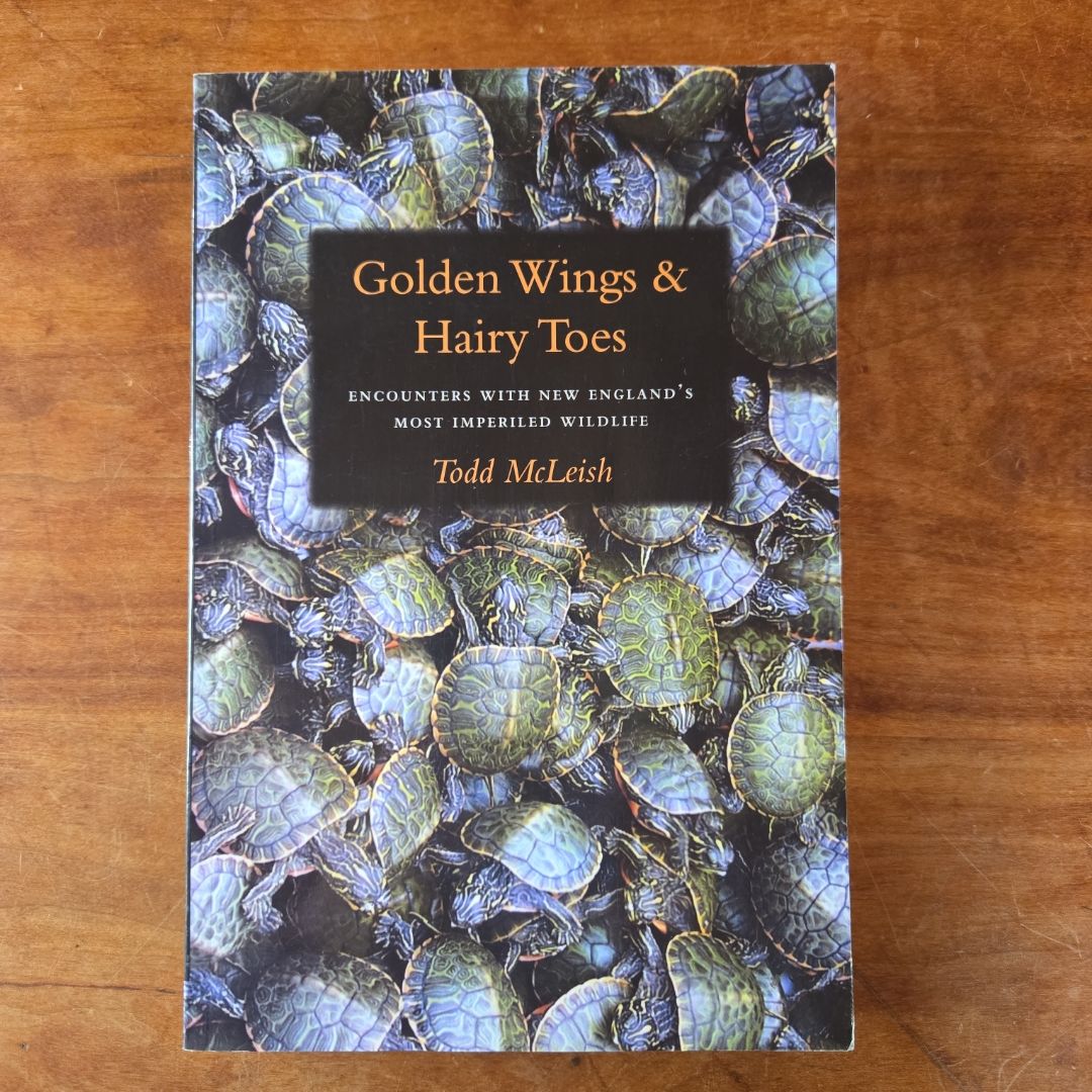 Golden Wings and Hairy Toes