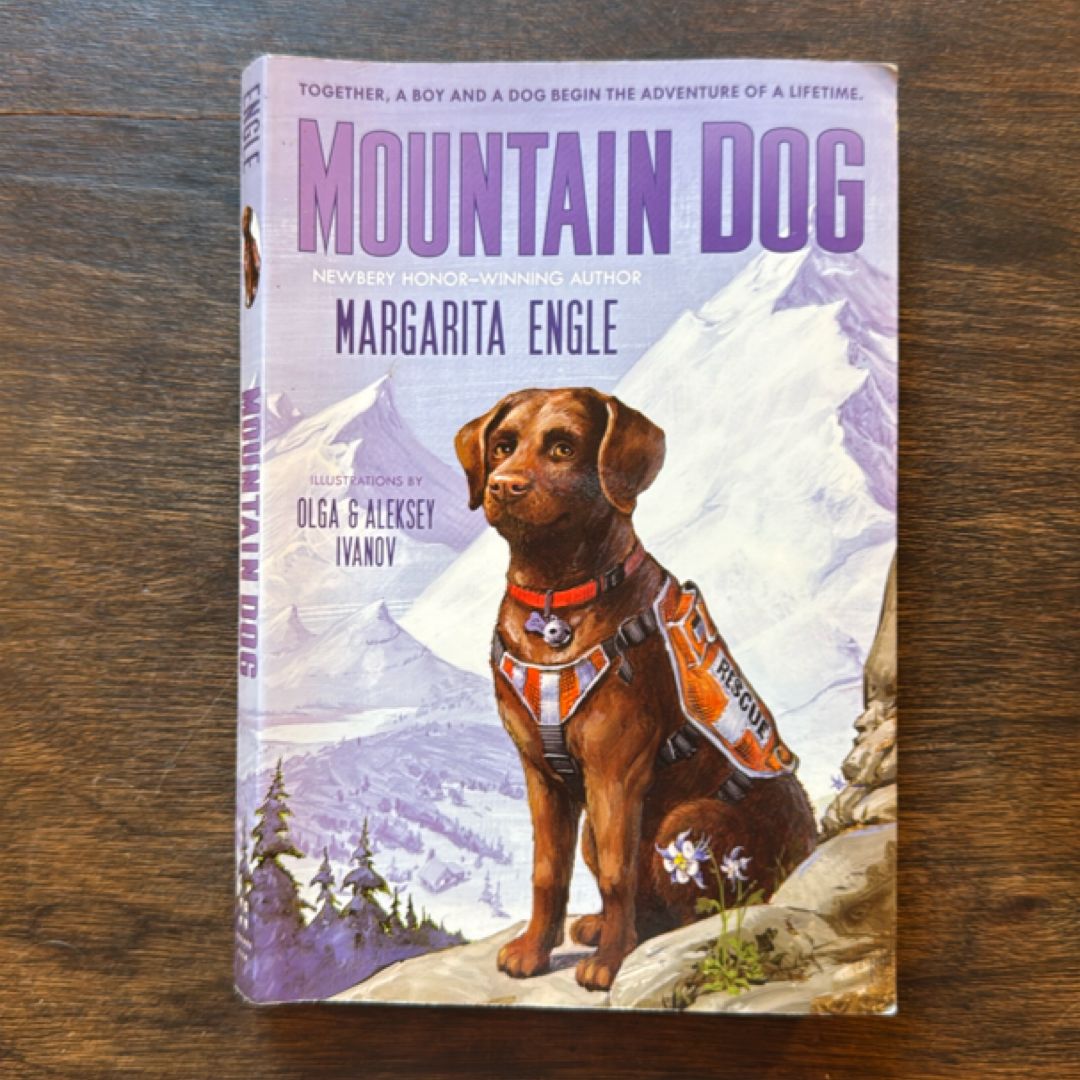 Mountain Dog
