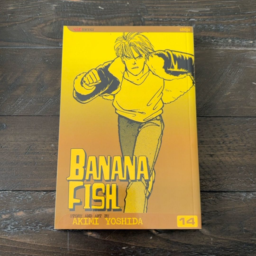 Banana Fish, Vol. 14