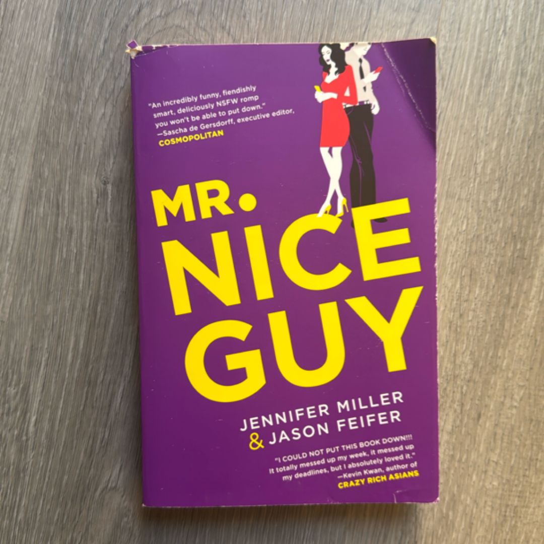 Mr. Nice Guy