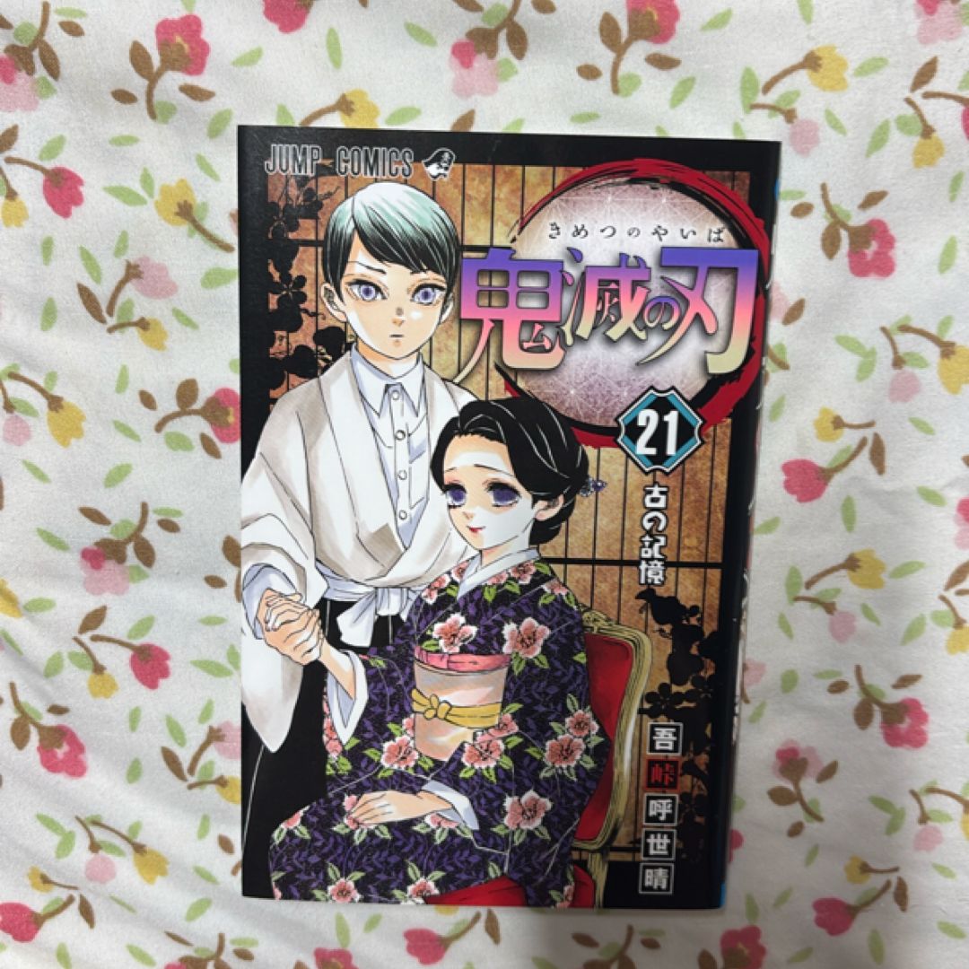 Kimetsu no Yaiba Vol. 21 (Japanese edition)