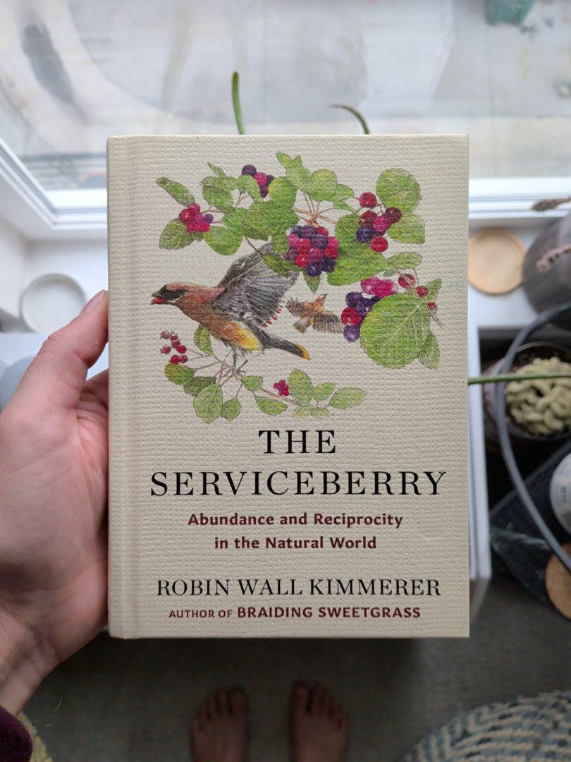 The Serviceberry