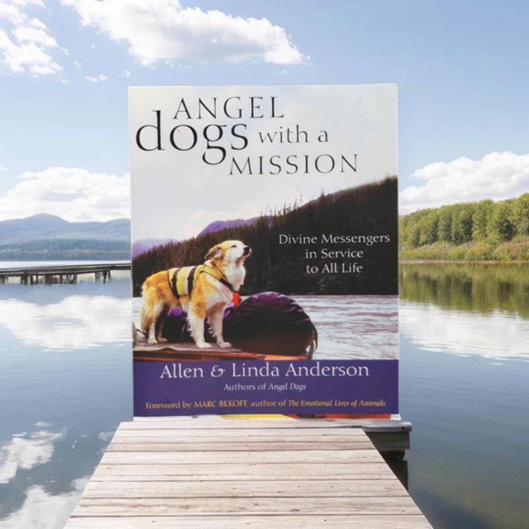 Angel Dogs with a Mission