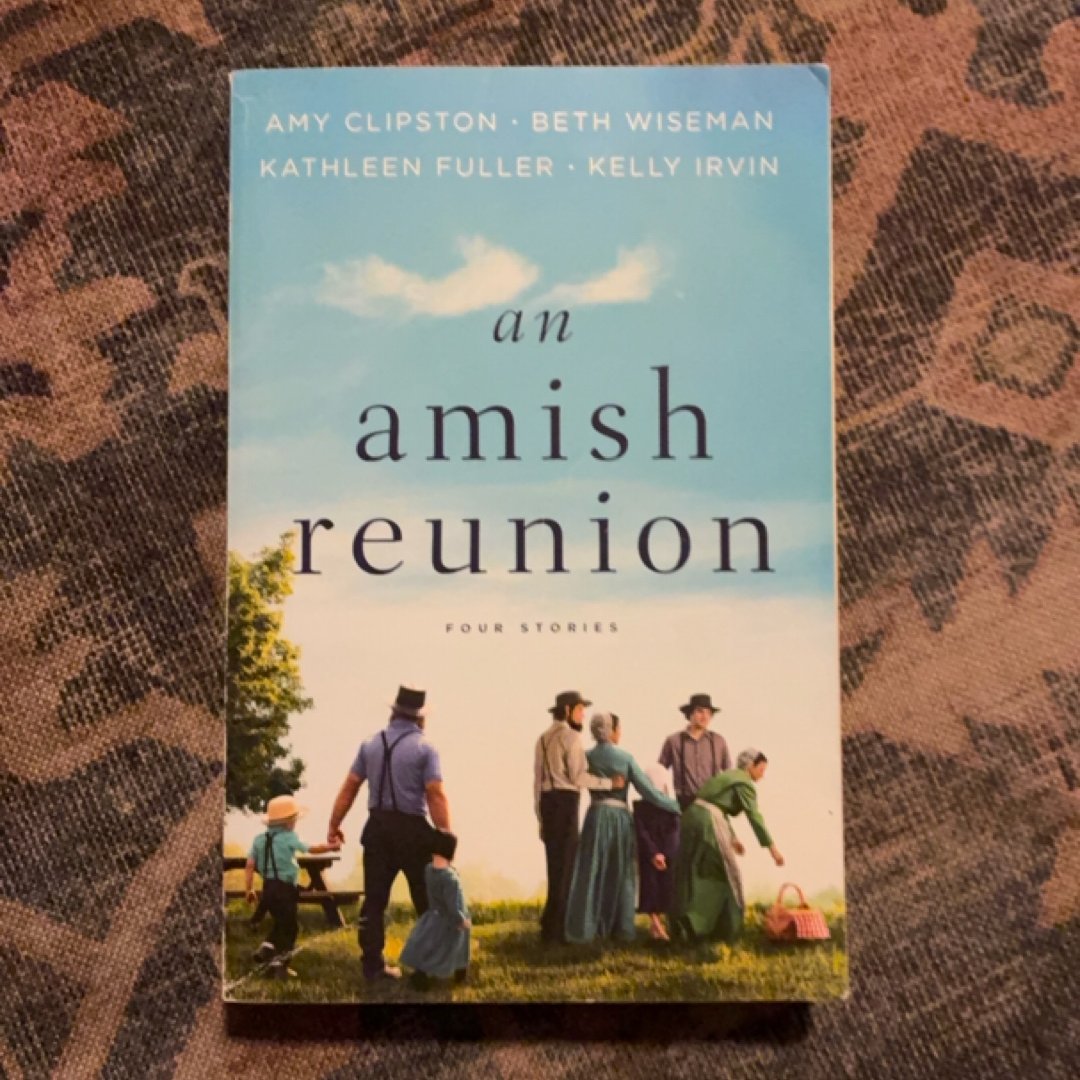 An Amish Reunion