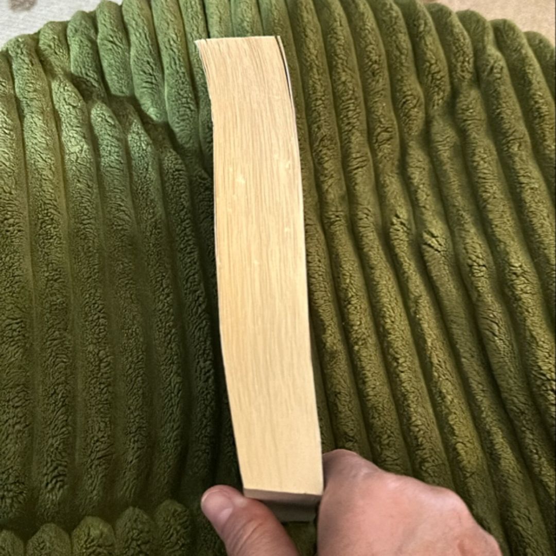 Wild Fire: the Shetland Series 8