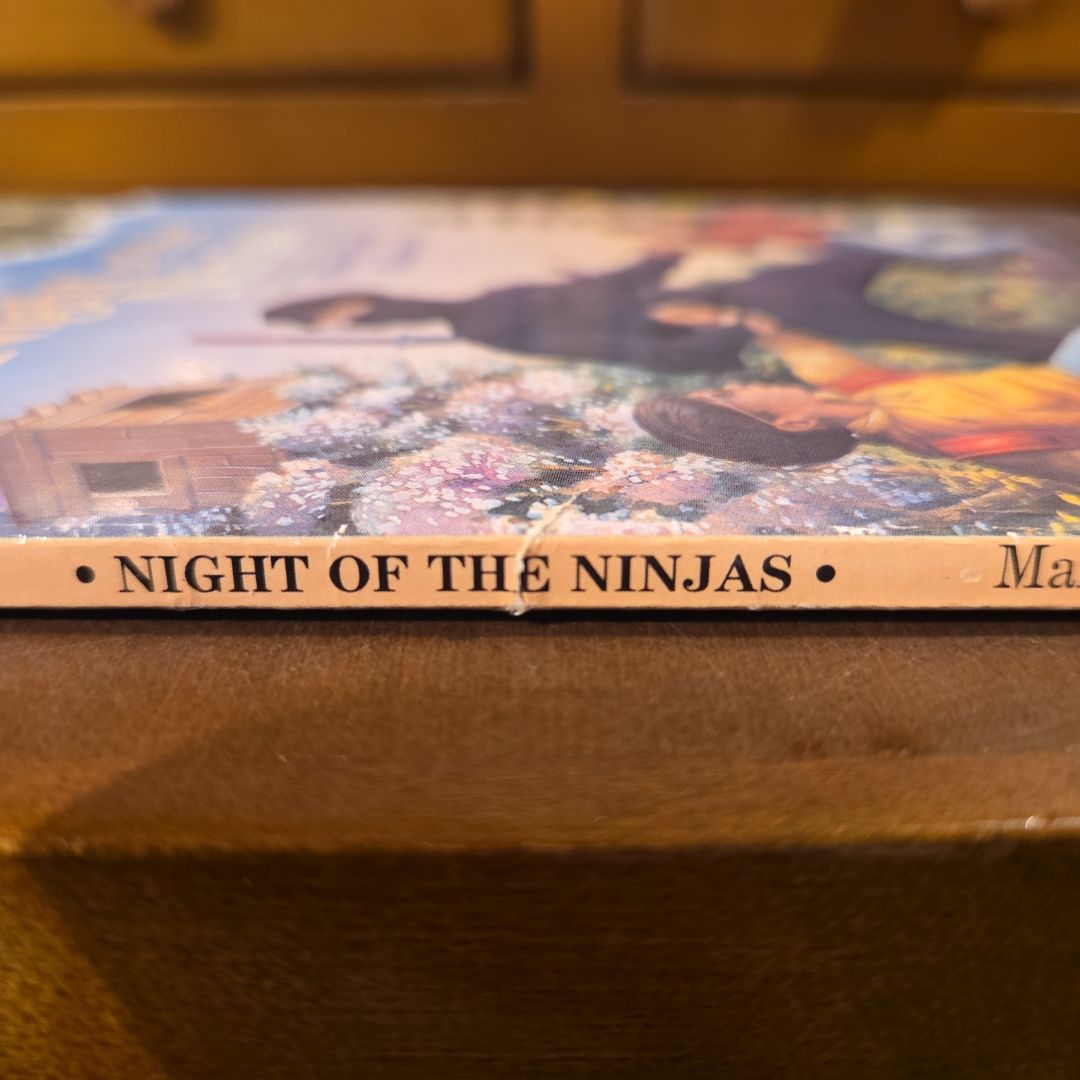 Night of the Ninjas