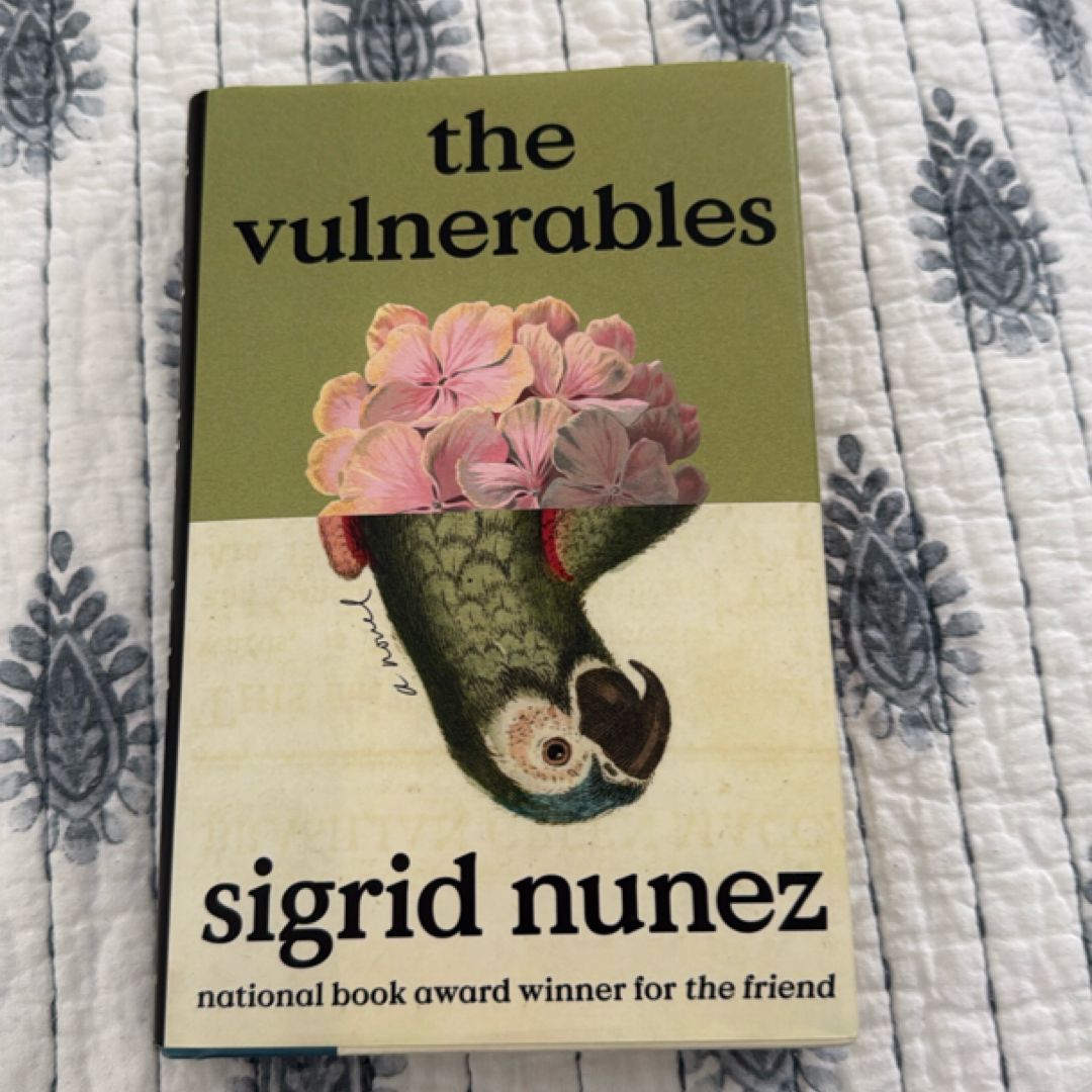 The Vulnerables