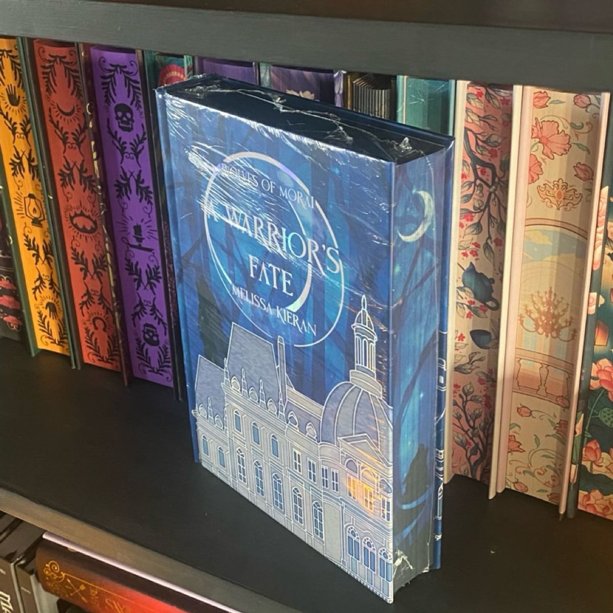 A Warrior’s Fate (Moonlight Book Box) by | PangoBooks