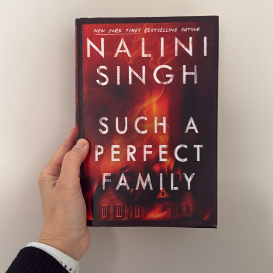 Such a Perfect Family