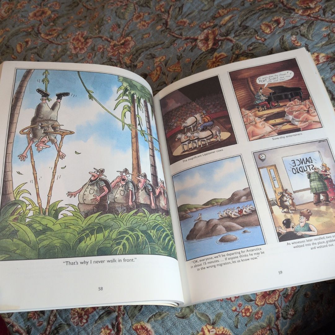 The Far Side Gallery 5