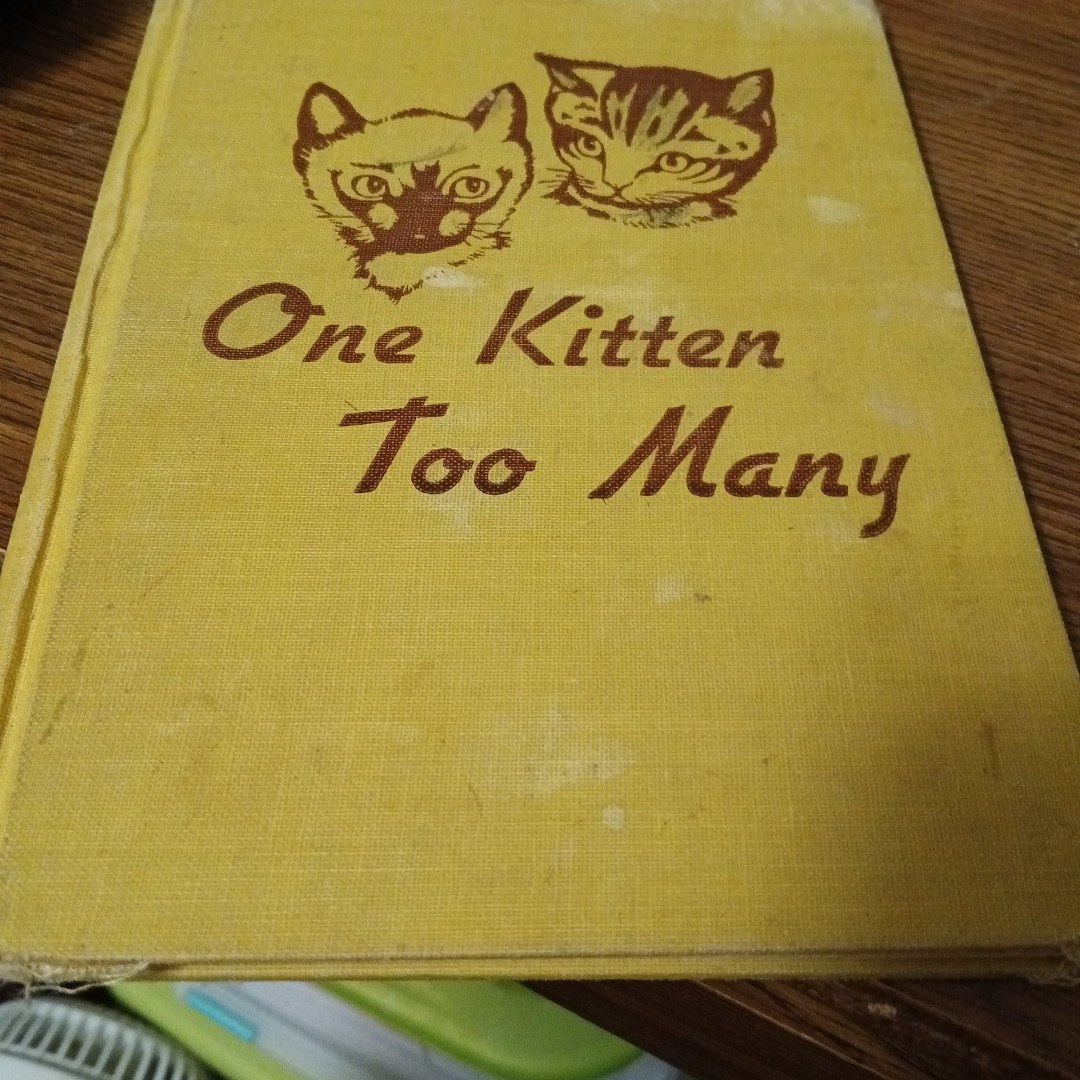 One Kitten Too Many 