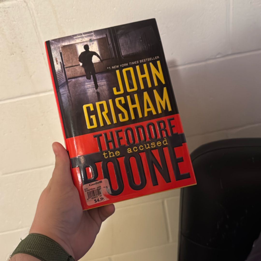 Theodore Boone: the Accused