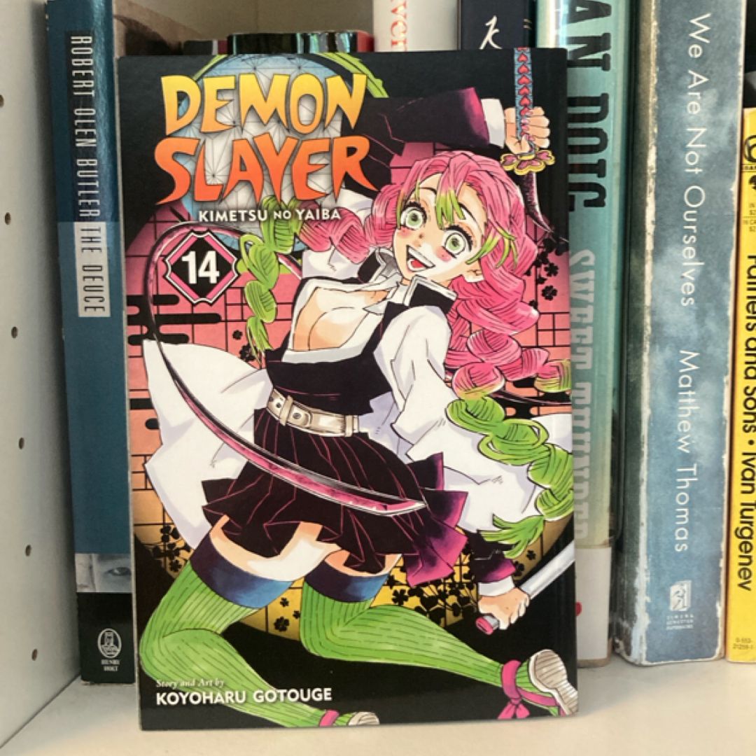 Demon Slayer: Kimetsu No Yaiba, Vol. 14