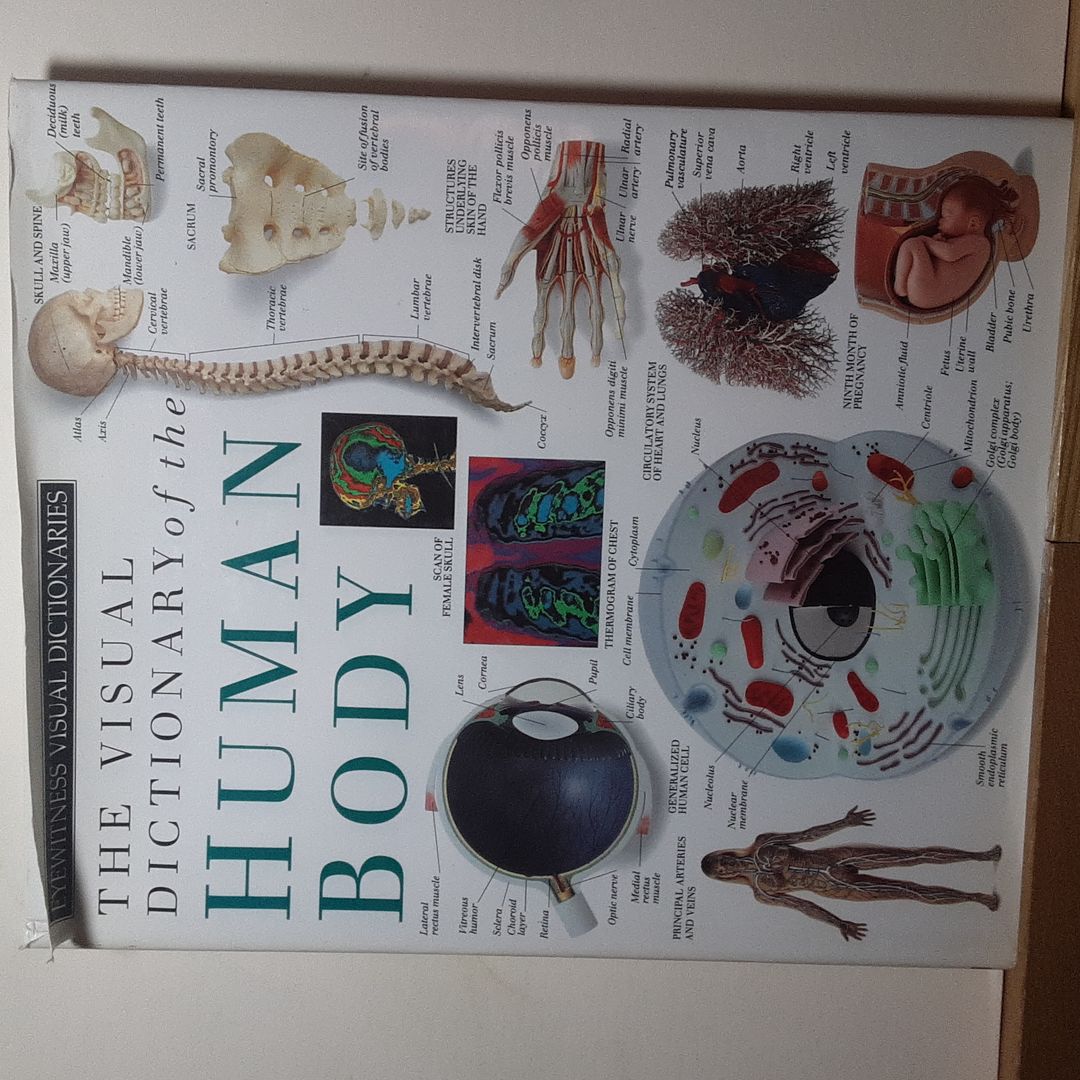 Eyewitness Visual Dictionaries: the Visual Dictionary of the Human Body
