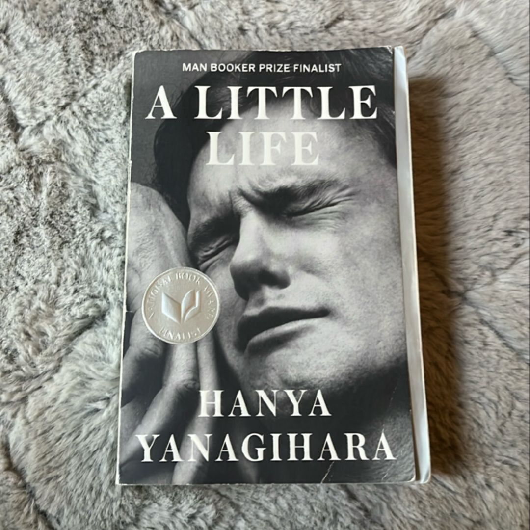 A Little Life