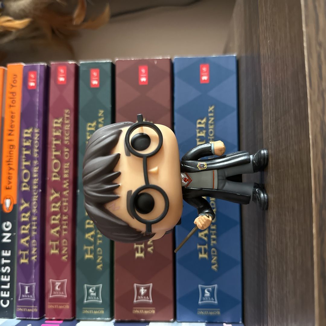 Harry Potter Funko Pop Shelf Decor