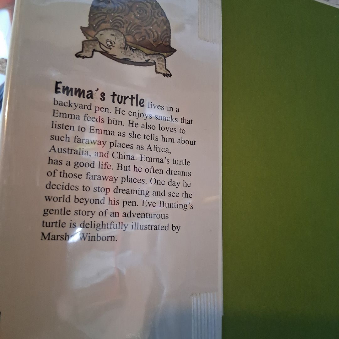 Emma's Turtle