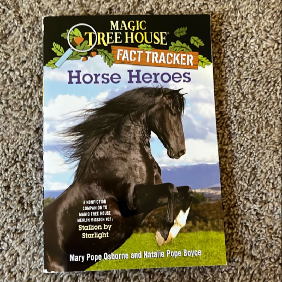 Horse Heroes