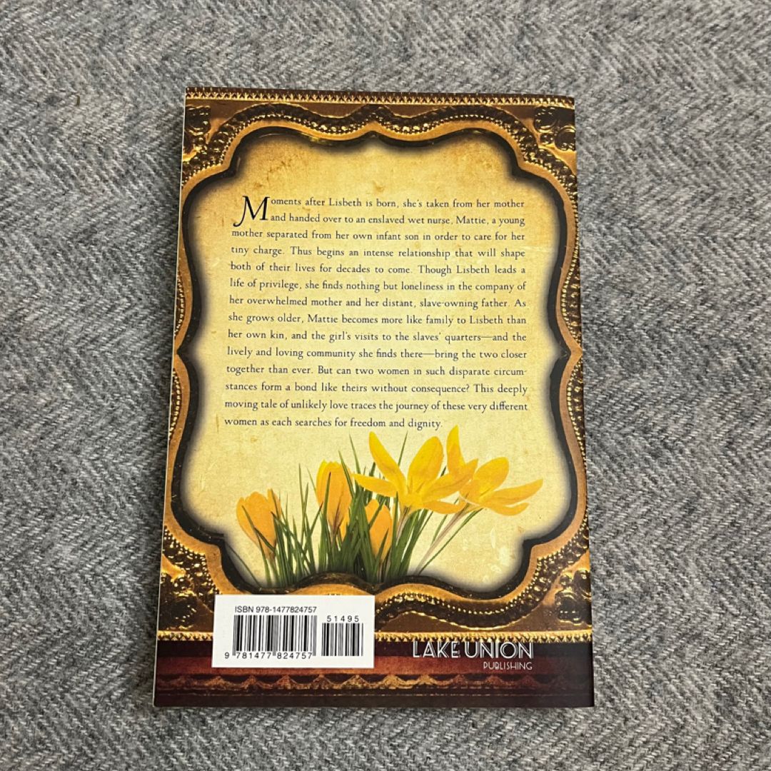 Yellow Crocus