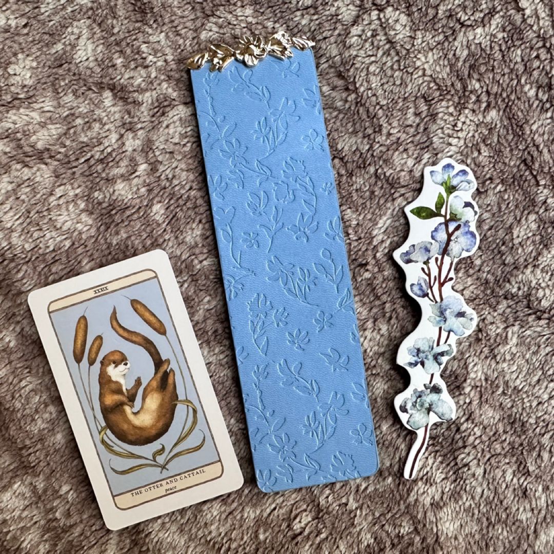 Vacation *themed* Blind Date with a Book Box