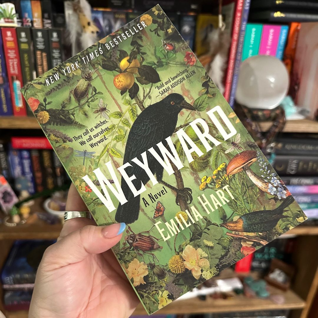 Coven & Cursed Deluxe Edition Duology by Harper L. Woods